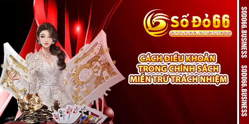 Cách điều khoản trong chính sách miễn trừ trách nhiệm 