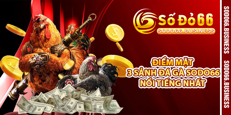 Điểm mặt 3 sảnh đá gà SODO66 nổi tiếng nhất 