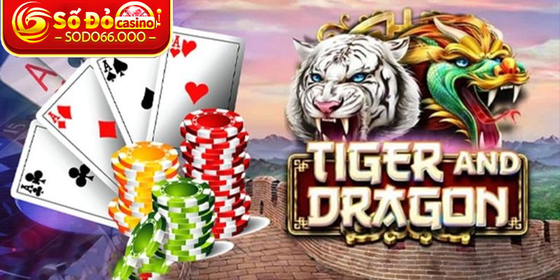 Cách chơi Rồng hổ dễ dàng mà hấp dẫn tuyệt đối
