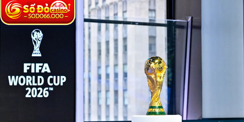 Cái nhìn tổng quan về vòng loại World Cup