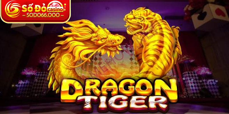 Nắm bắt những nhân tố cốt lõi có trong Rồng Hổ